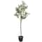 59" Green Plastic Olive Artificial Tree With Black Melamine Pot
